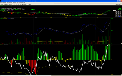 town__Large_.PNG