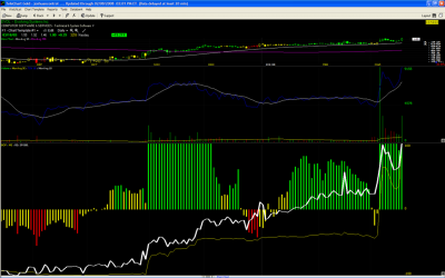 EVOL 3-18-03/7-8-03 to 12-2-03